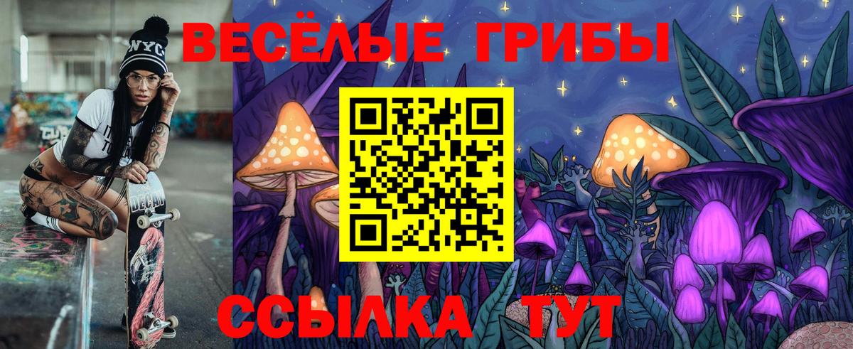 Ленинск-Кузнецкий  Псилоцибиновые грибы GOLDEN TEACHER  Вход с VPN 